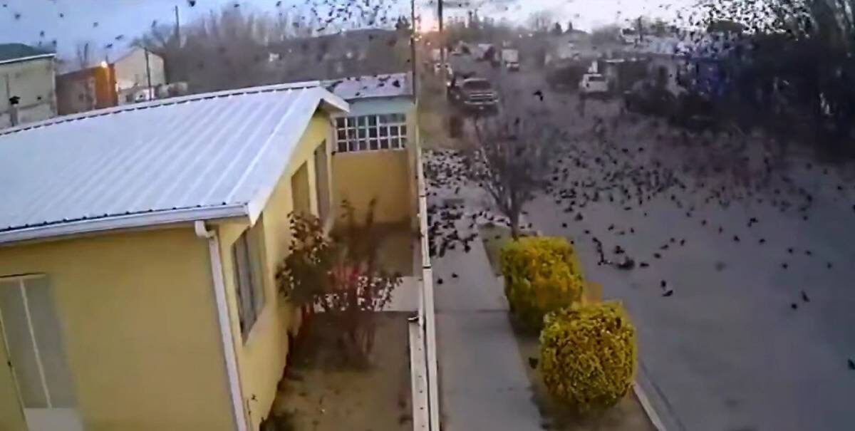    Фото: Inside Edition