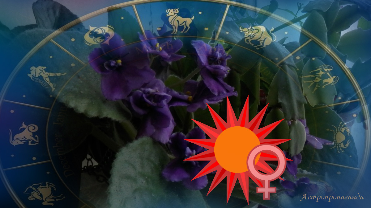 Гороскоп с 17 по 23 марта 2025: наступает год Рыси и Венеры. 