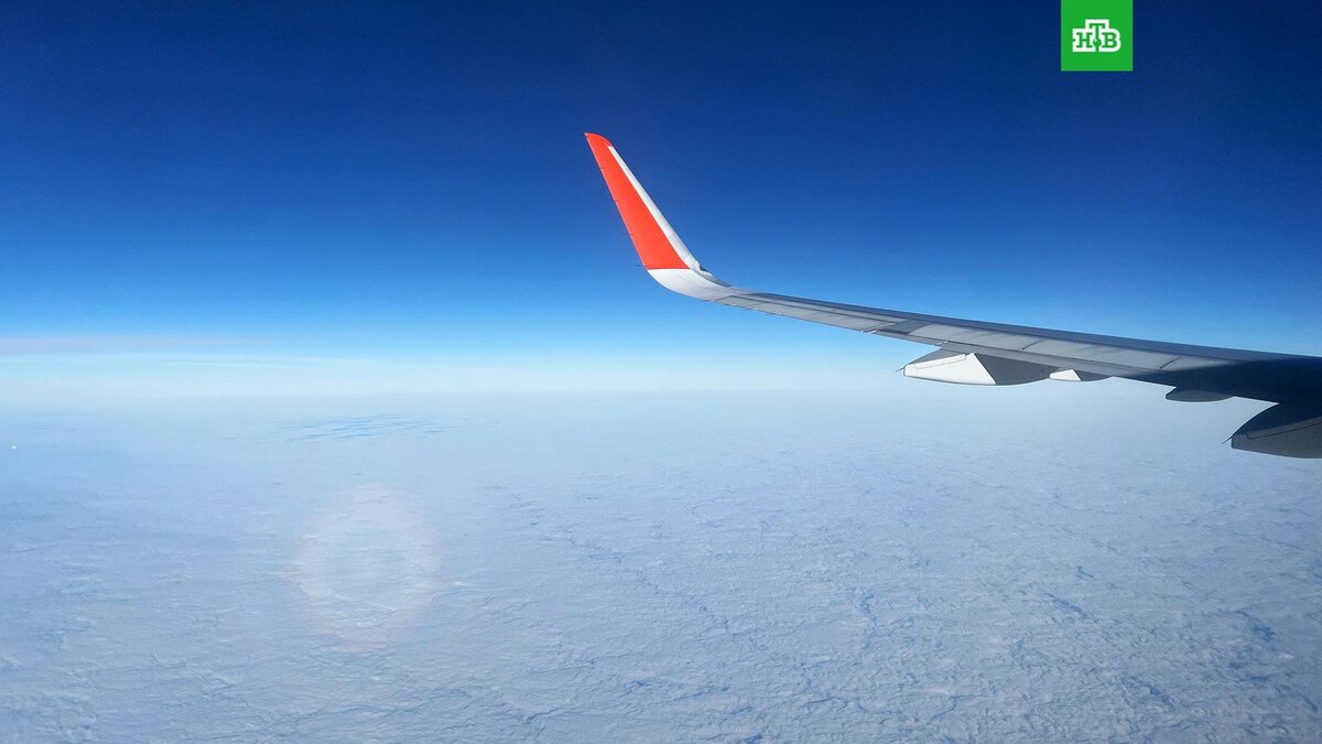    Фото: РИА Новости © 2025, Наталья Селиверстова