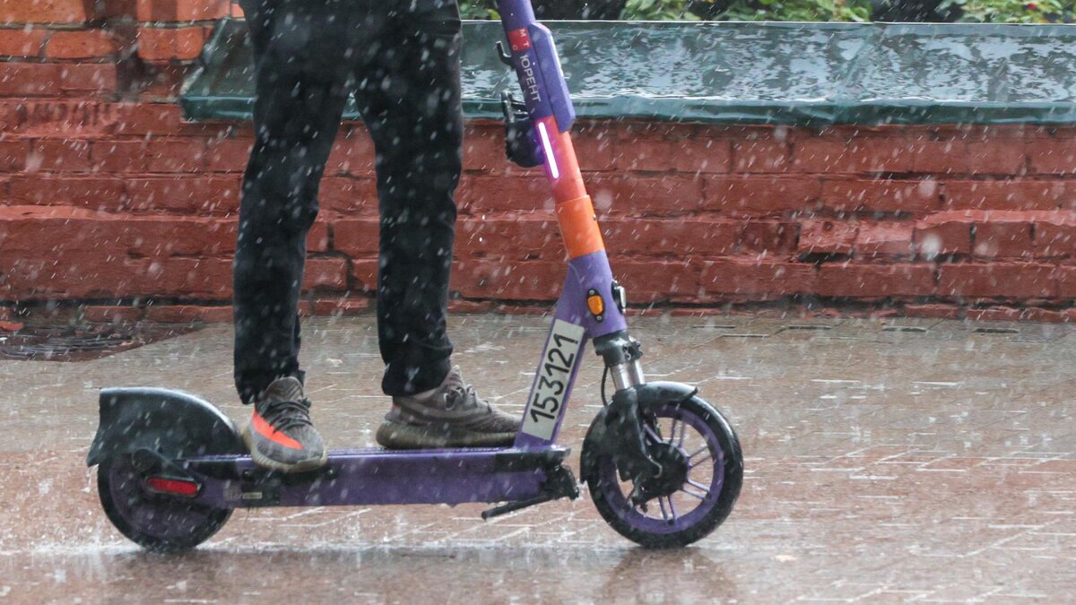    Фото: Belkin Alexey/globallookpress.com