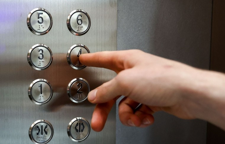    Наталья Шатохина/NEWS.ru