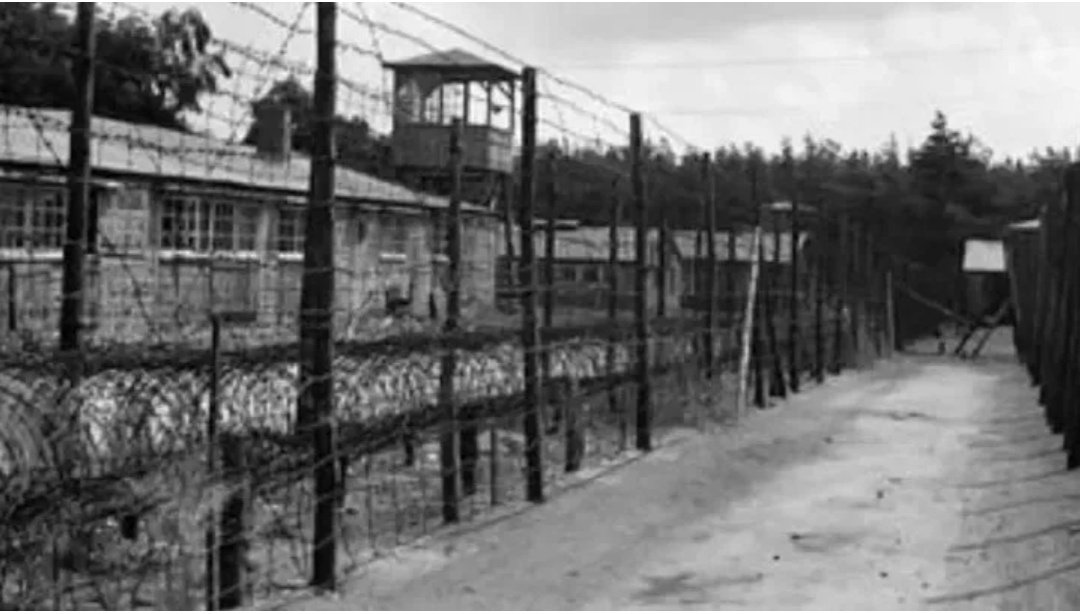 Иллюстрация из общедоступных источников информации. Яндекс-картинки. 