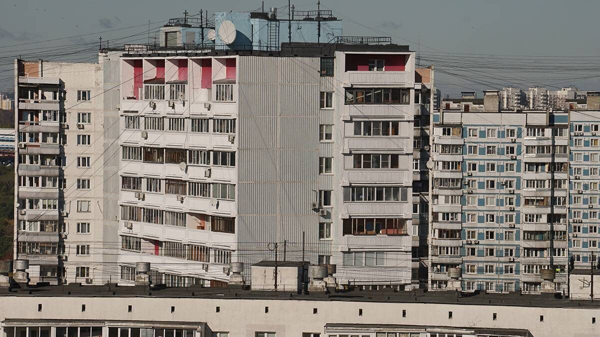    Фото: Анатолий Цымбалюк / Вечерняя Москва