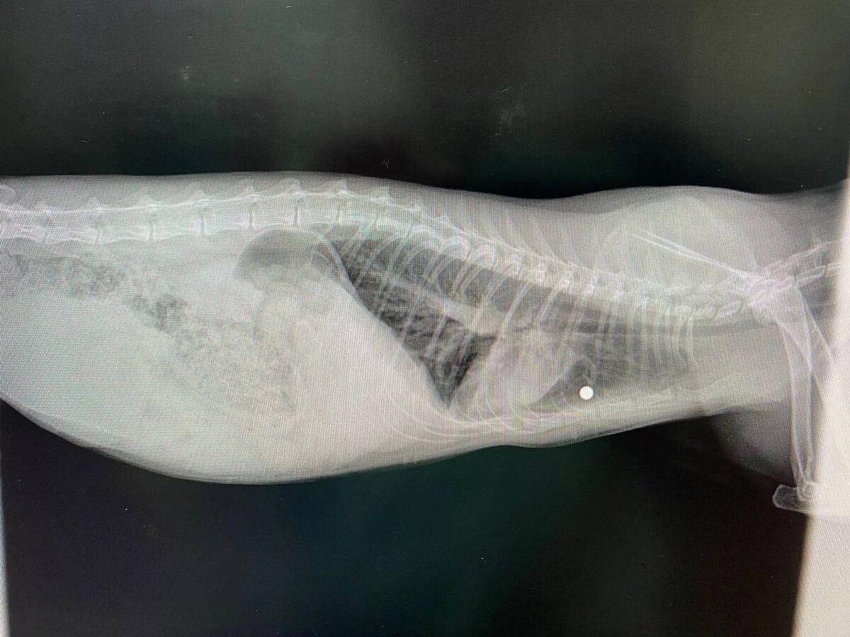 Фото из архива автора