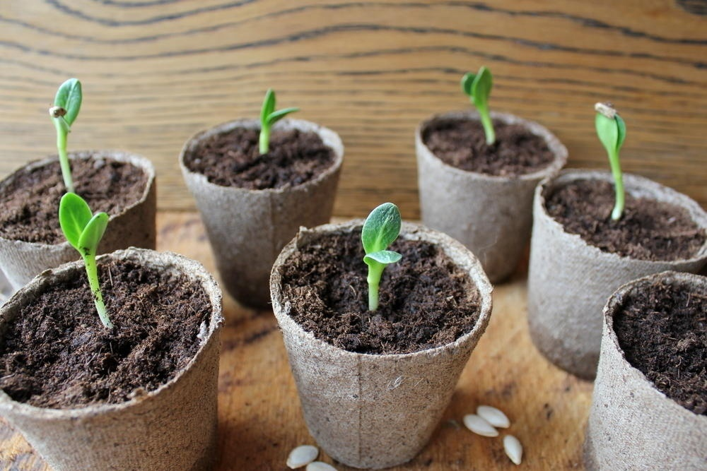 Источник фото: https://rayon72.ru/news/society/198156.html