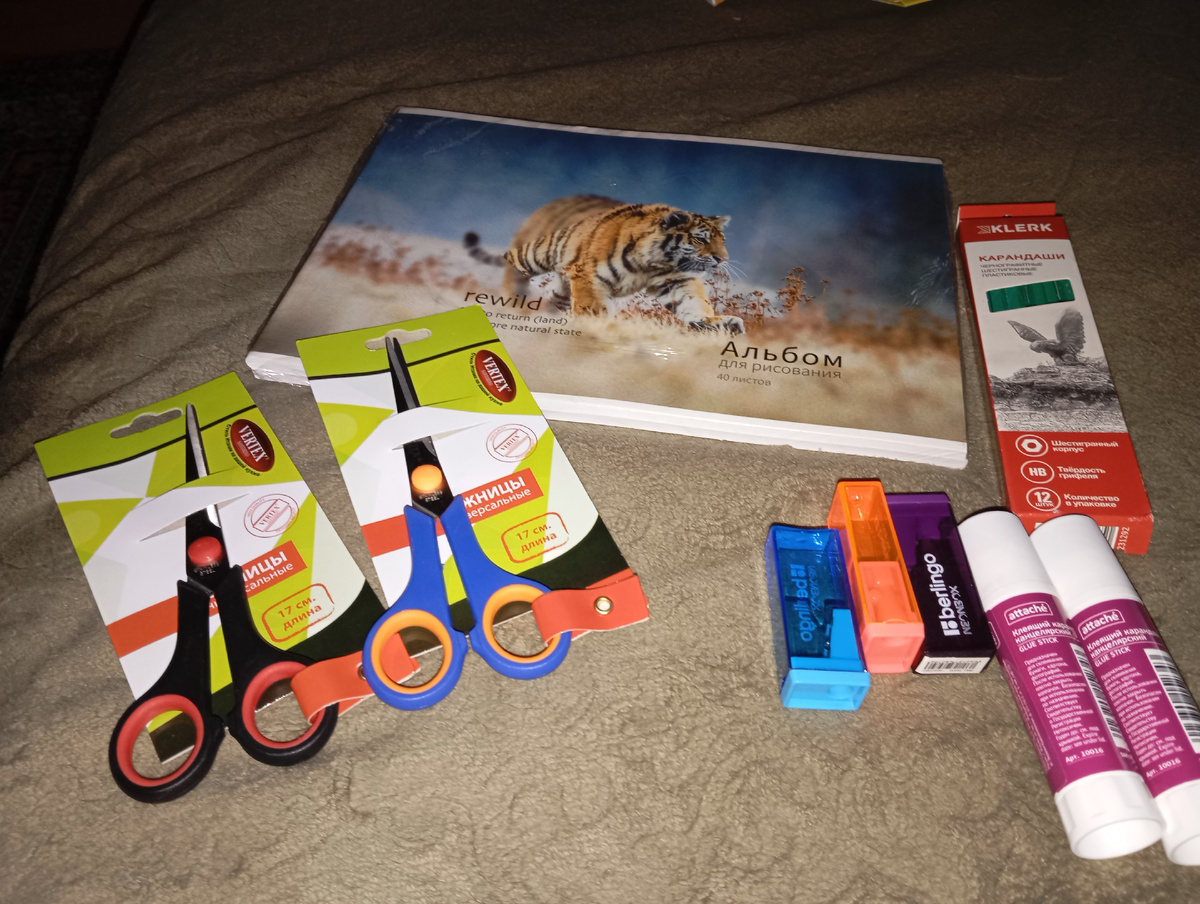 Ножницы, клей, точилки, простые карандаши и альбомы 
