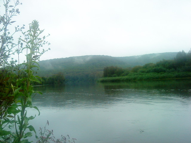 река Сура дичное фото автора