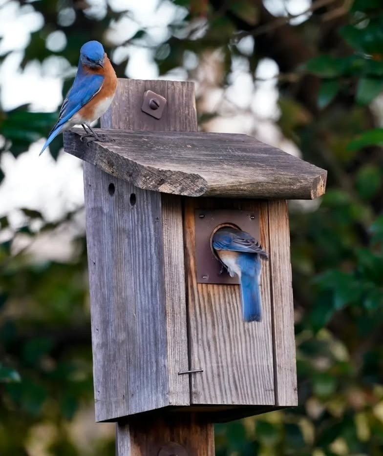    Соцсети фотографа nature_photographyking