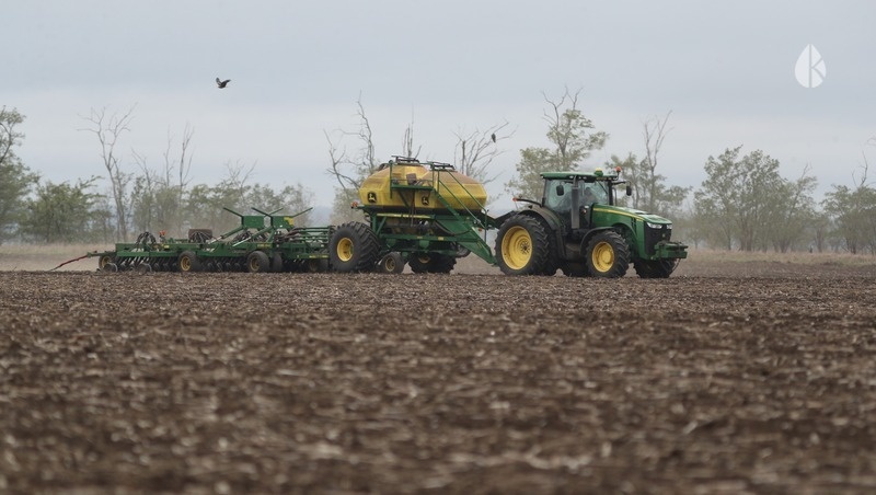      Фото: Дмитрий Ахмадуллин / / ИА «Победа26»