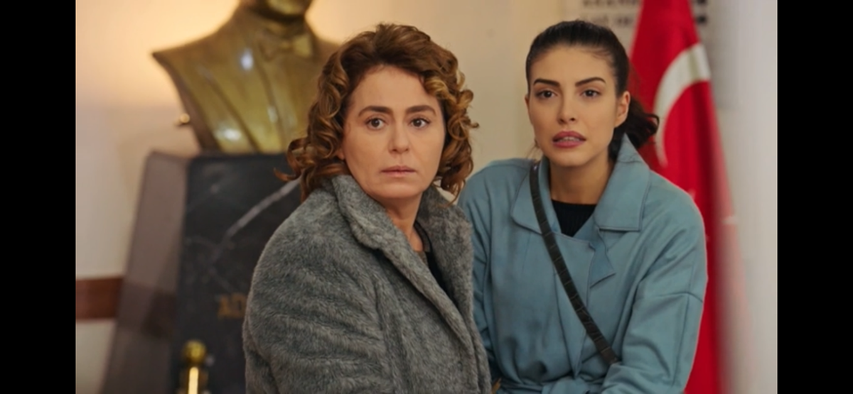 Стоп кадр из сериала «Госпожа Фазилет и её дочери»