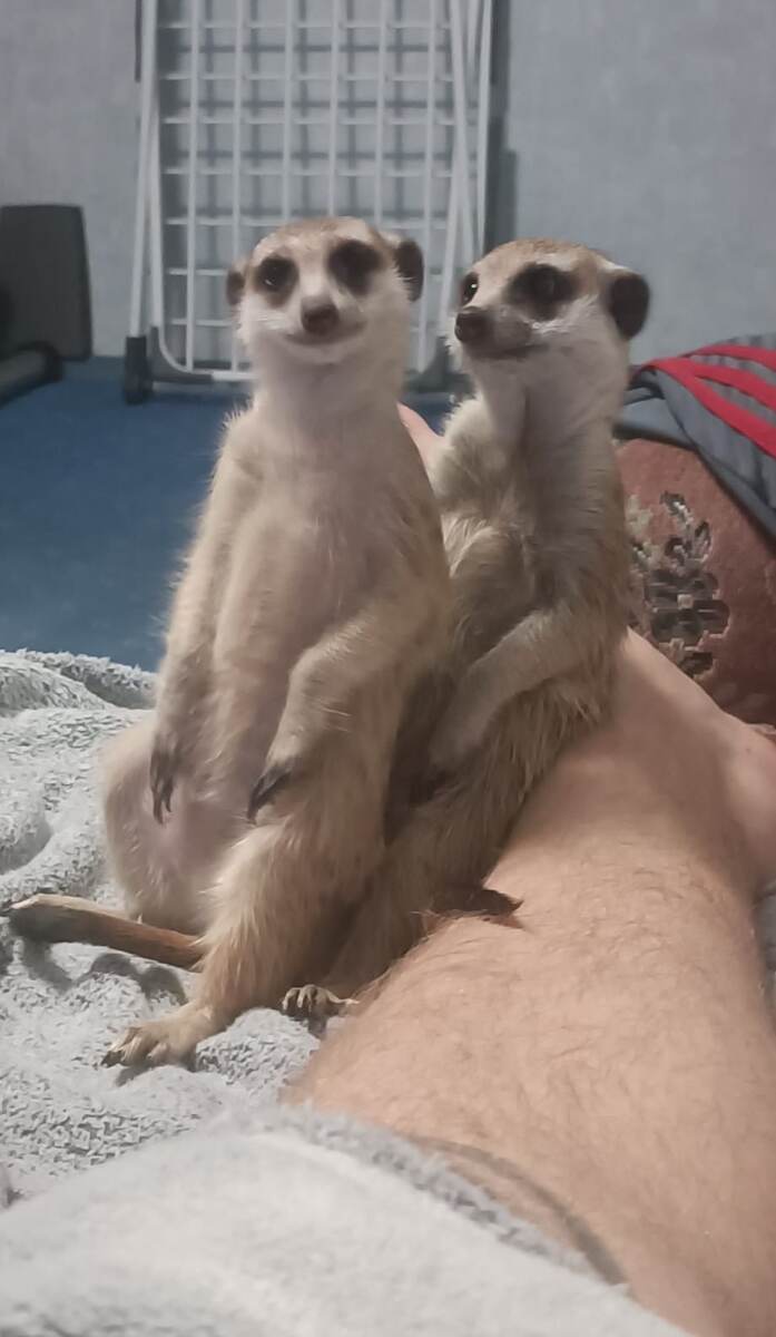 Фото Зареты Михиной