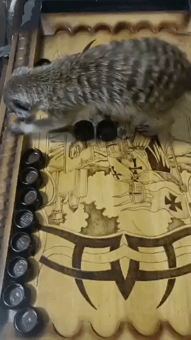 Фото Зареты Михиной