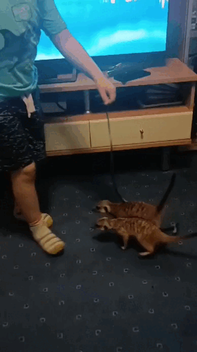 Фото Зареты Михиной