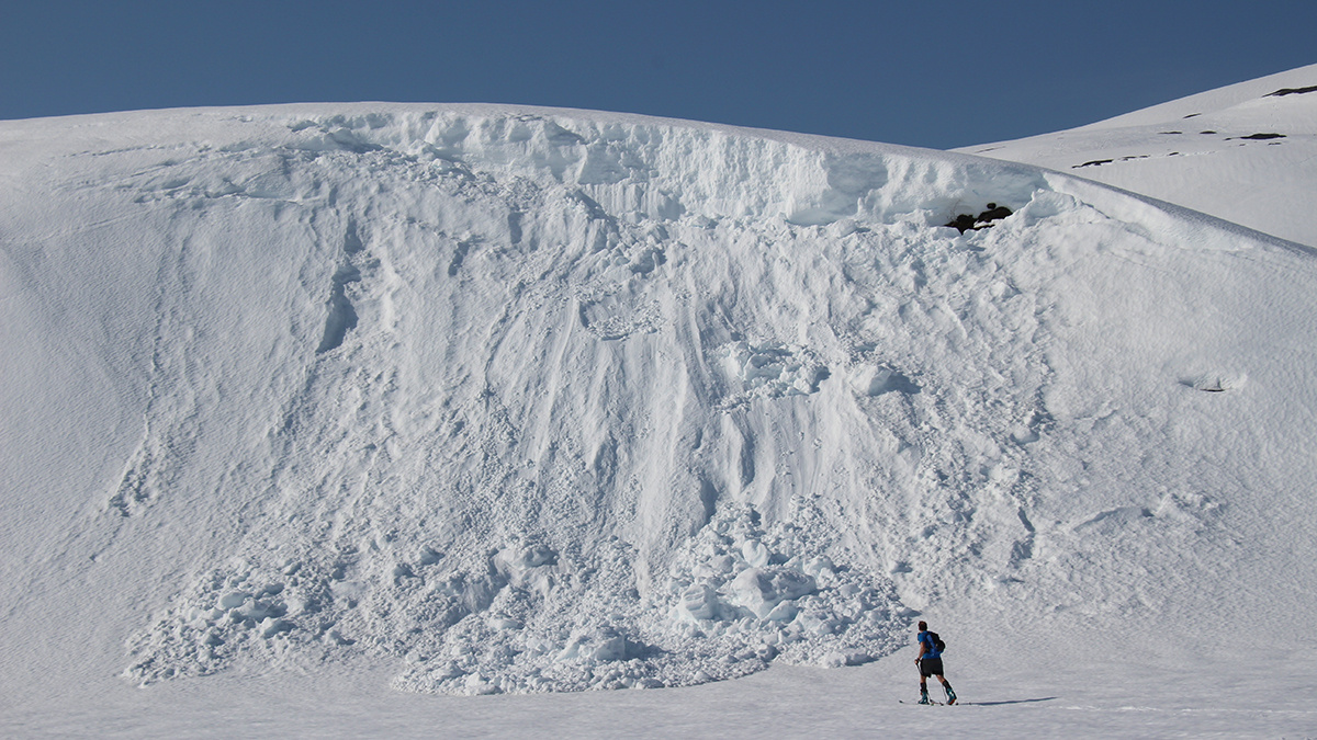    Фото: vm.ru Георгий