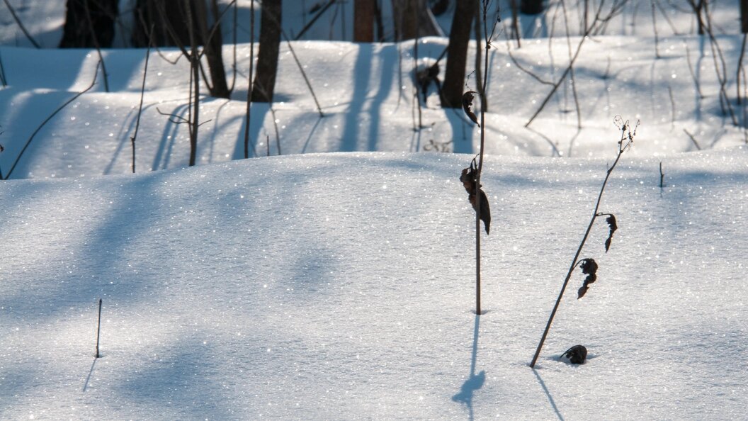    ФОТО: Svetlana Vozmilova/Globallookpress
