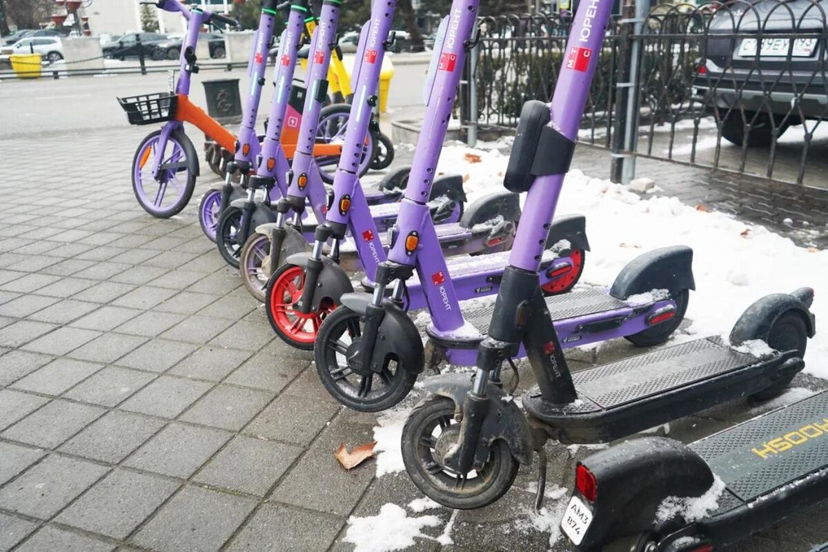 Фото: Утренний Юг