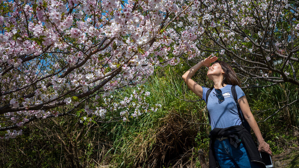 Фото: © Global Look Press/Wiktor Dabkowski
