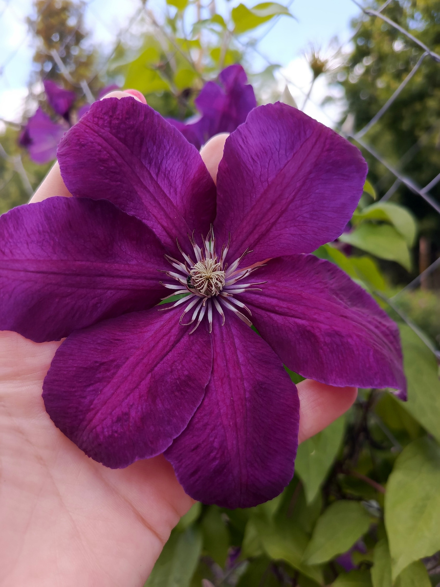 В зависимости от региона ...