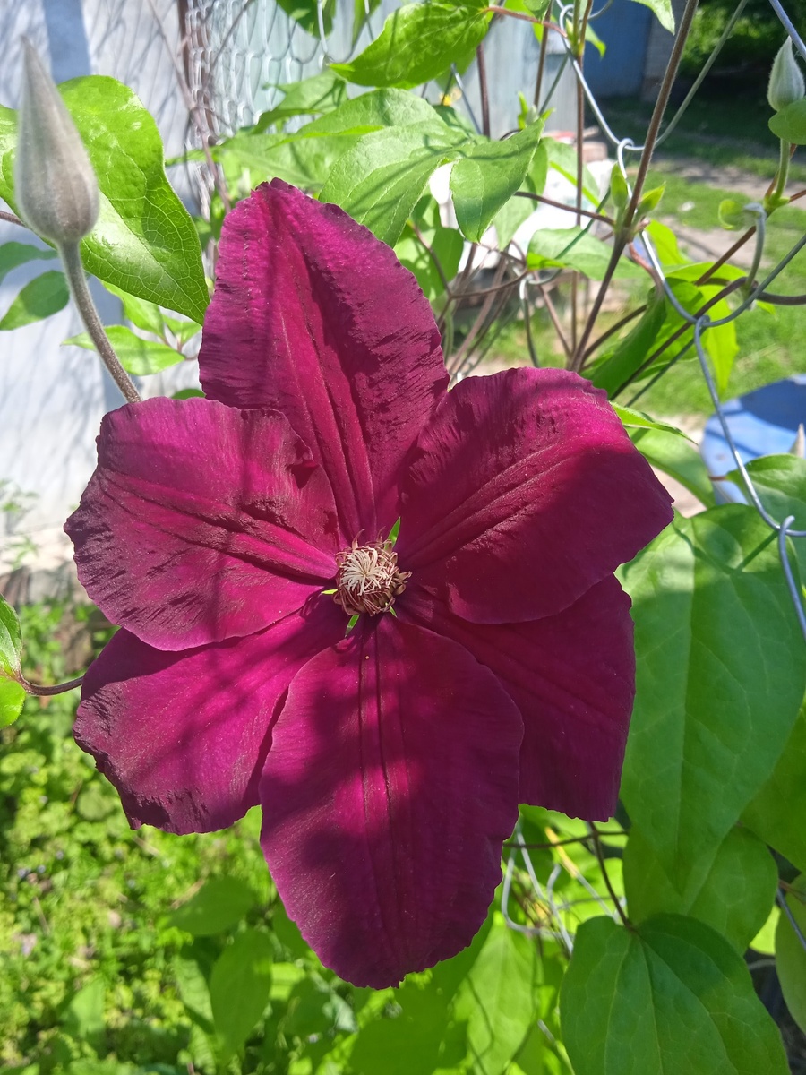 В южных областях ...