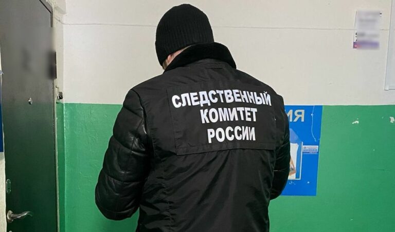    Порубала тесаком. Жительница Гая зверски убила знакомого своего мужа Марина Шарт