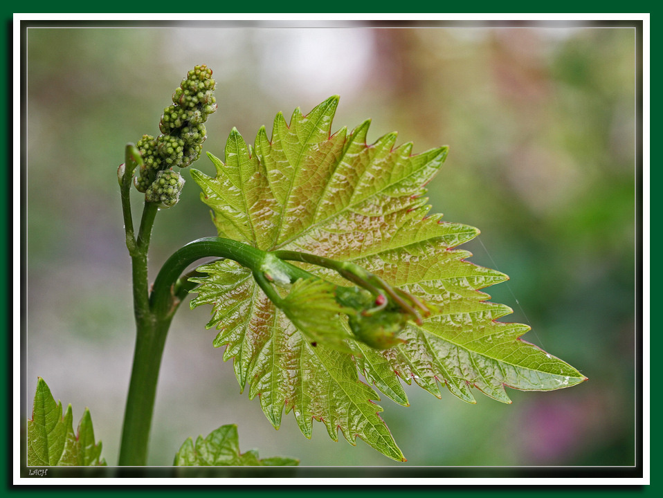 Следующая попытка