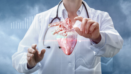    Фиброз сердца можно будет определять за несколько минут: алгоритм с ИИ разработали в Санкт-Петербурге ©Natali _ Mis / Shutterstock / Fotodom