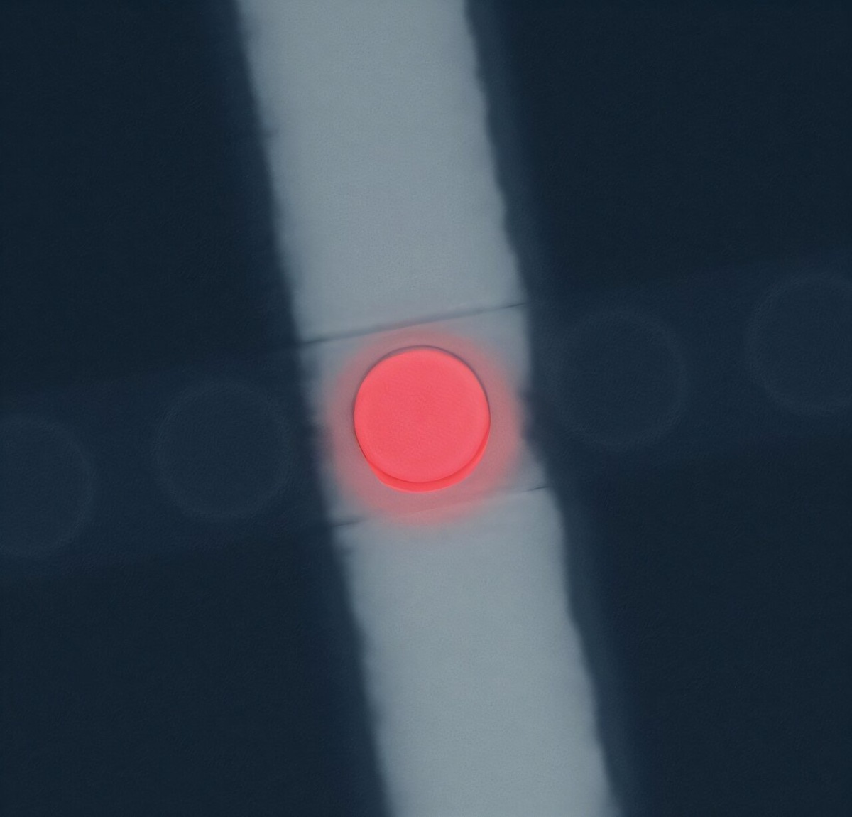    Фото: naked-science.ru Георгий