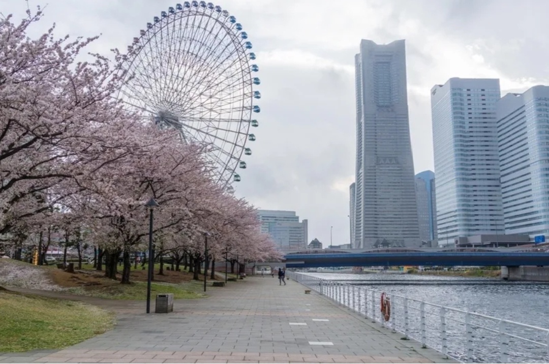 Йокогама, набережная.