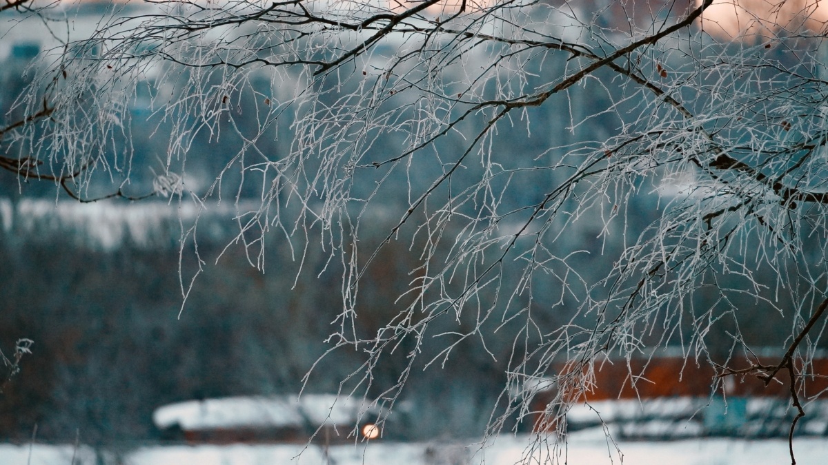 Светлана Мулыкина📷
