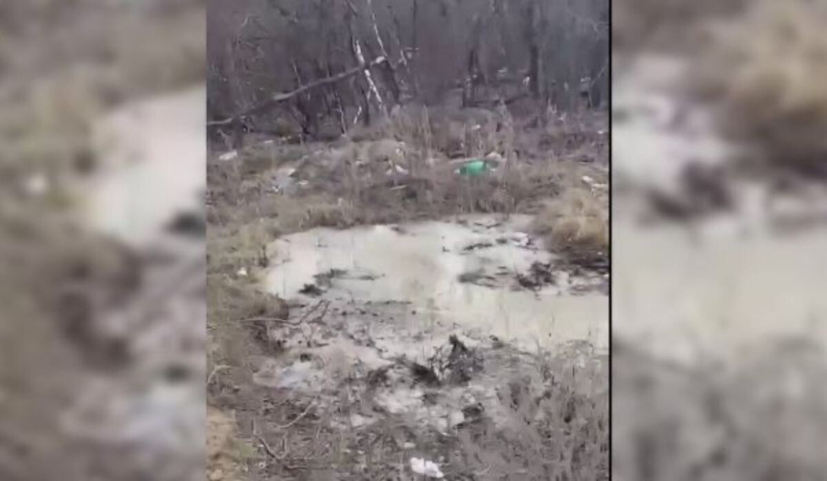     Слив бетона в лес. Источник: vestivrn.ru Автор фото: "Вести-Воронеж"