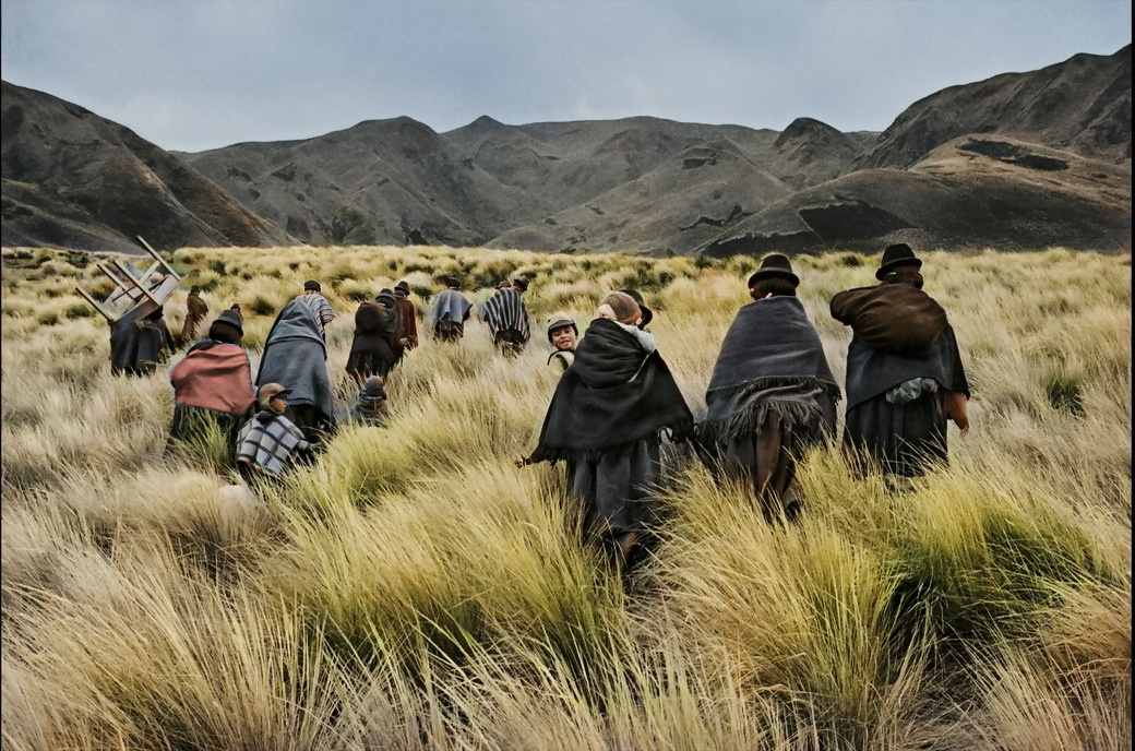 Автор: Себастьян Сальгадо