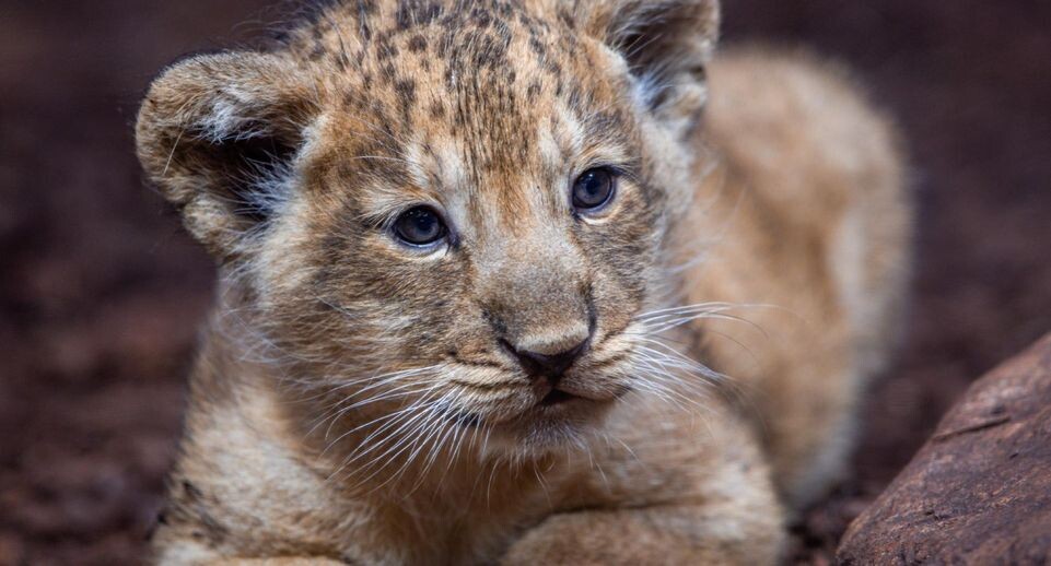    Jens BÃ�ttner/dpa / www.globallookpress.com