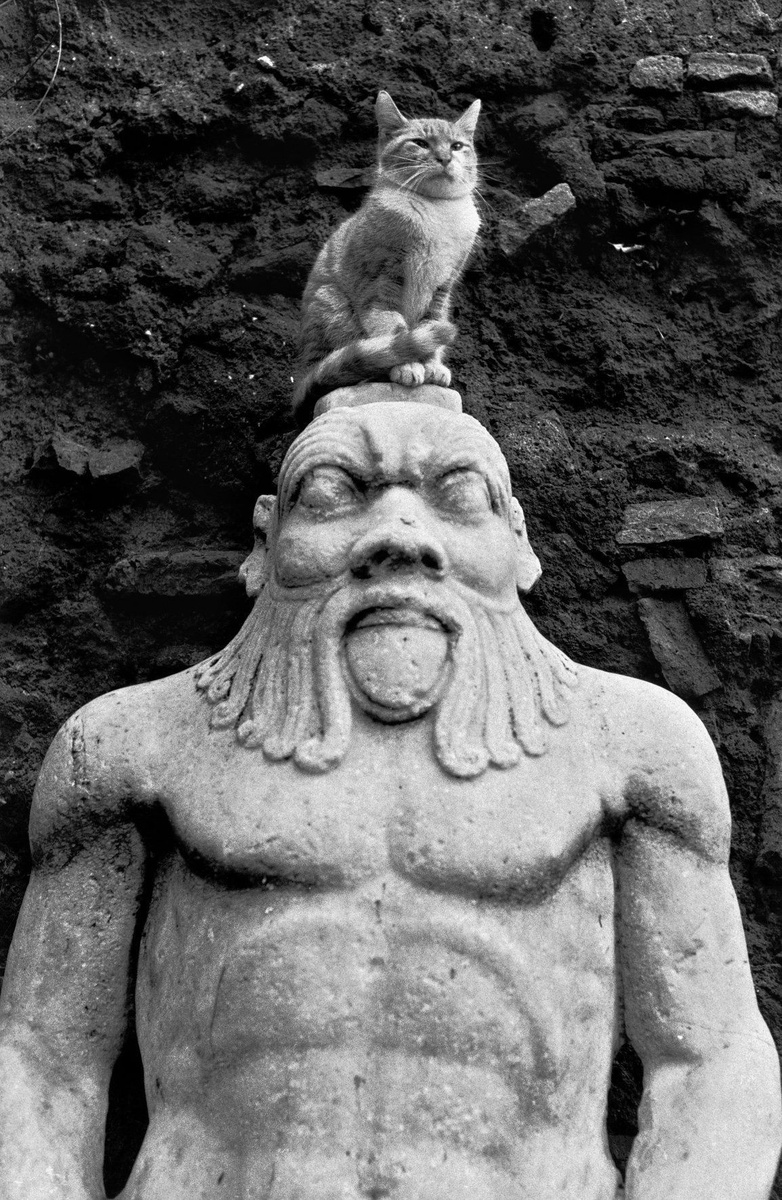 Эллиотт Эрвитт (Elliott Erwitt)