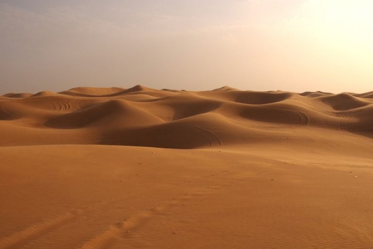    (c)shaolintiger.com Виталий