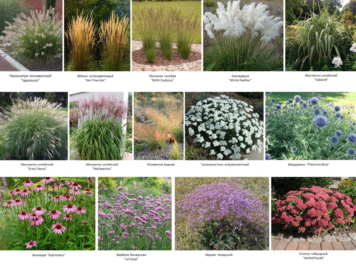 Ассортимент проекта.