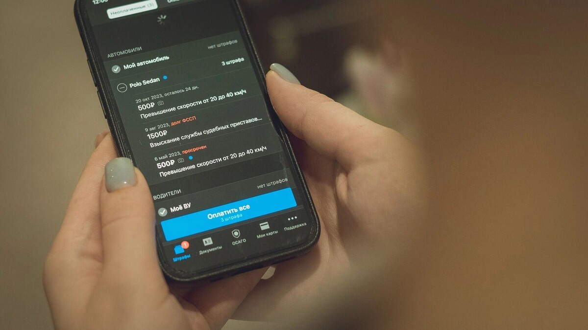     Источник: rostovgazeta.ru