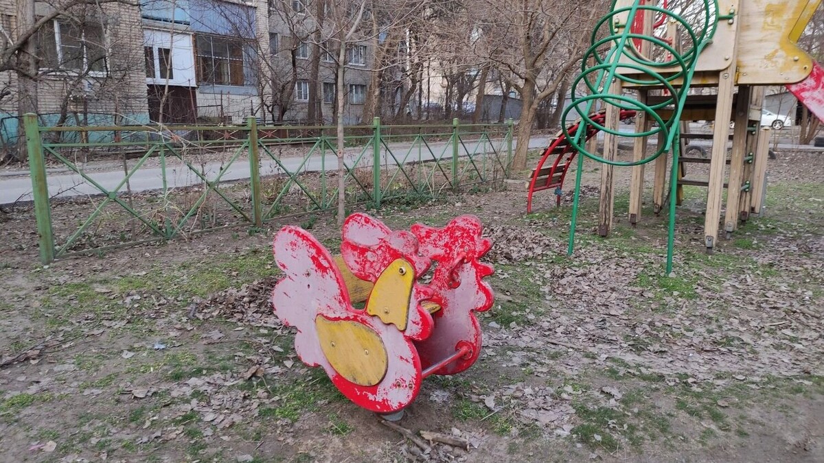     Источник: rostovgazeta.ru