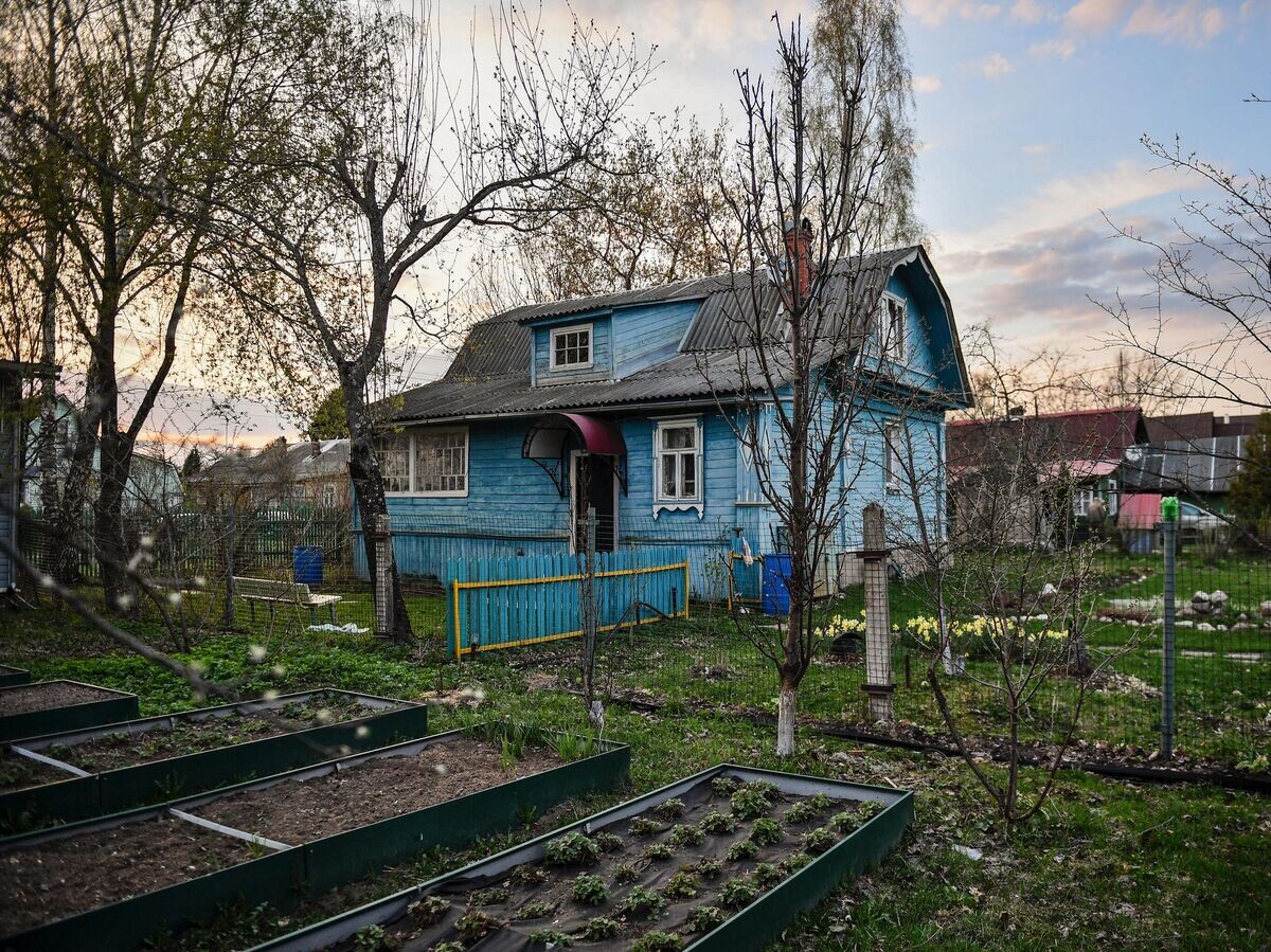   Подготовленные грядки на дачном участке в Московской области © РИА Новости / Владимир Песня