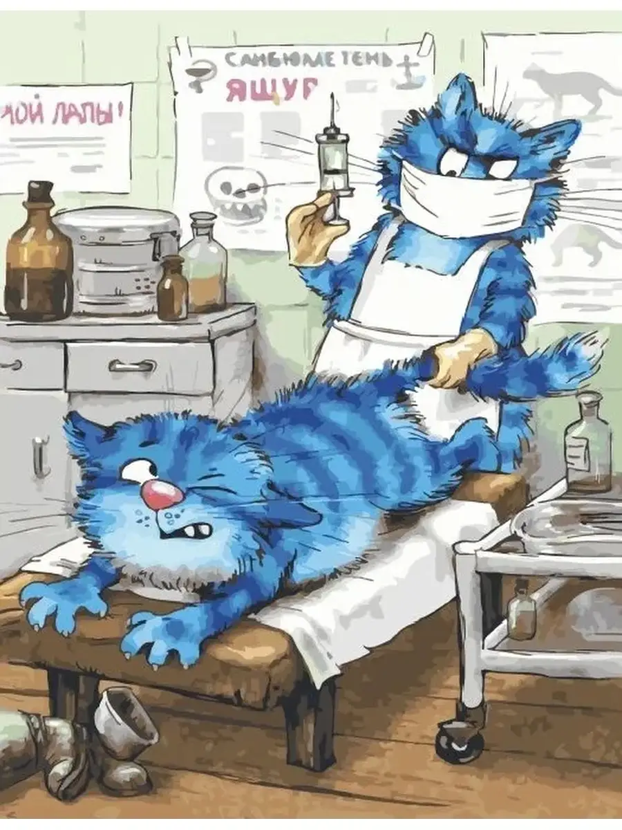 очаровательыне котики Рины Зенюк