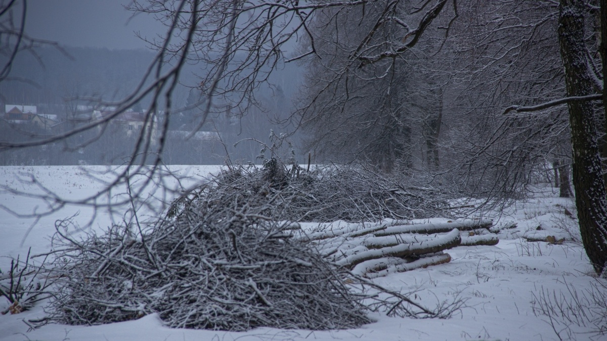 Фото: ИА SM-News📷
