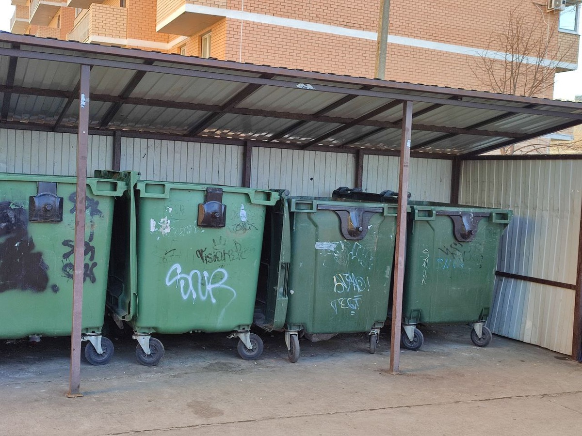 Фото: Утренний юг