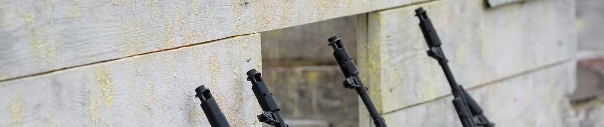    Фото: Антон Вергун