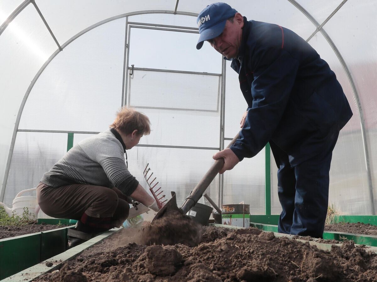    Москвичи на даче во время карантина© РИА Новости / Виталий Белоусов