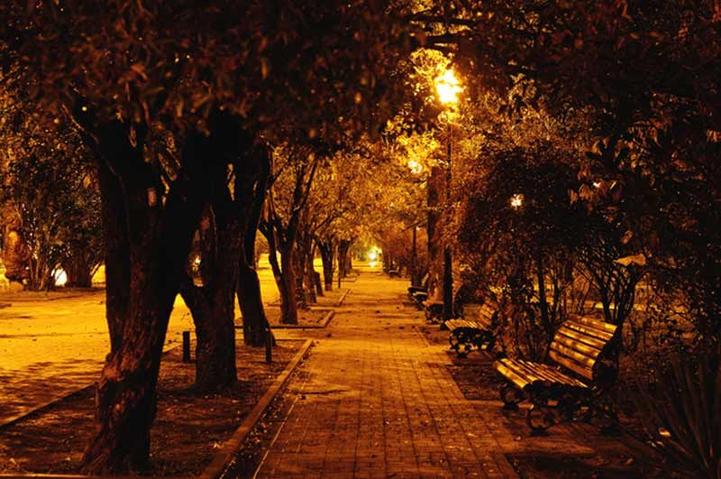 фото из интернета