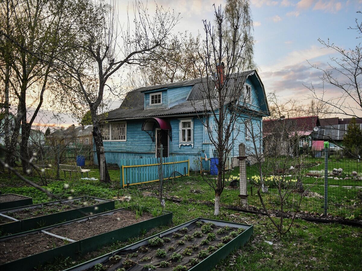    Дачные участки© РИА Новости / Владимир Песня