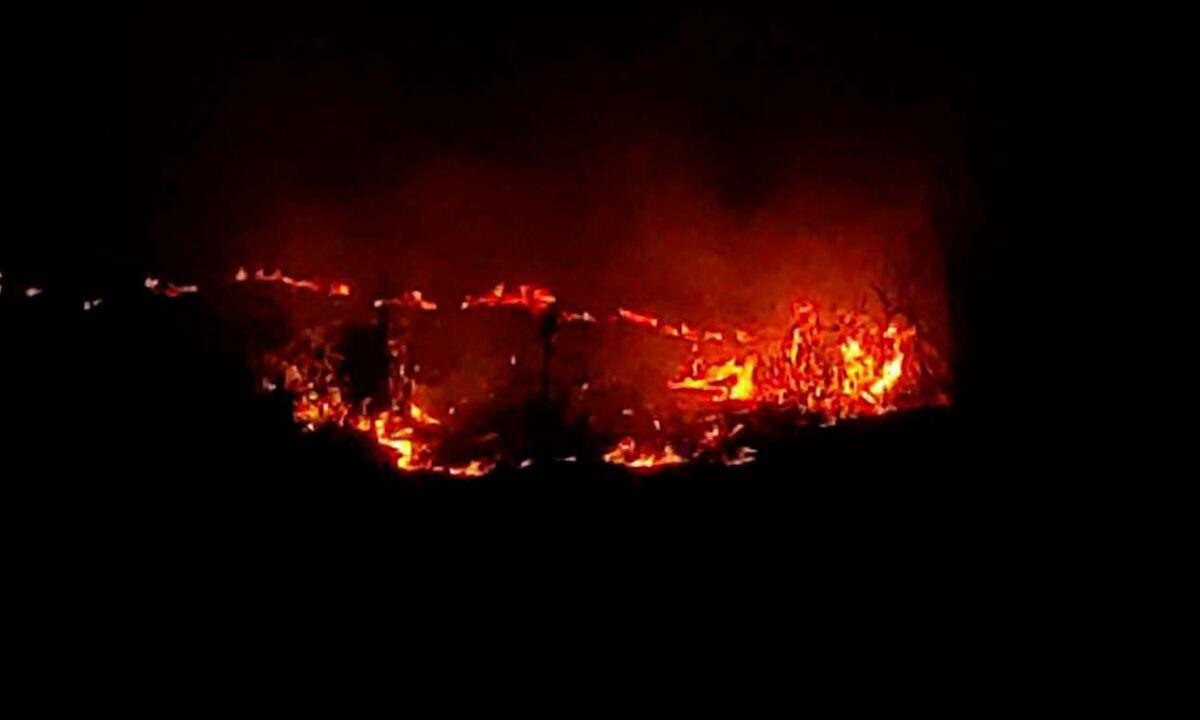    Видео канала «Кубань 24»