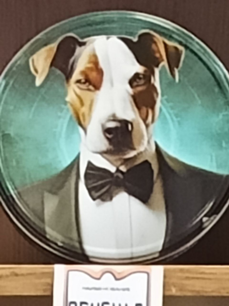 Коробка с печеньками. Фото автора.