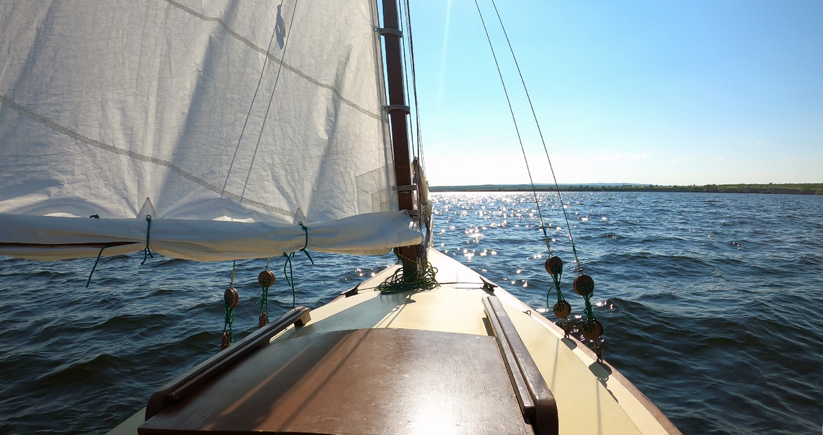 Навстречу солнцу