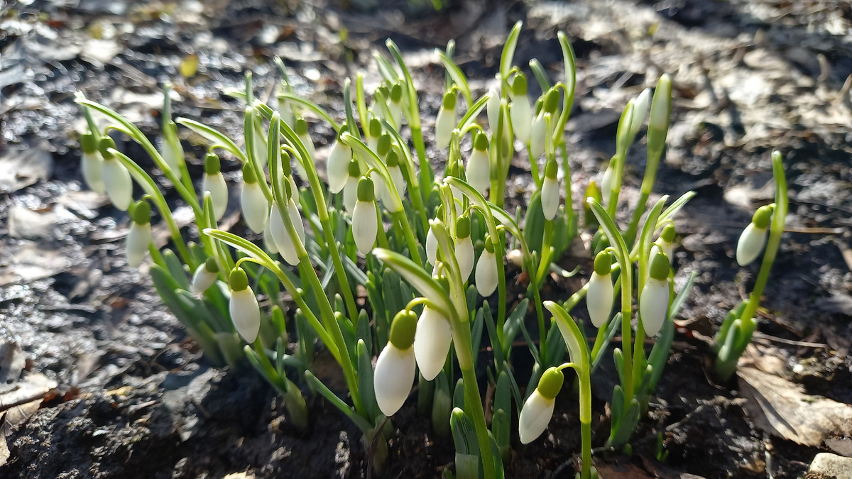 Просто неубиваемая милота! 16.03.2025