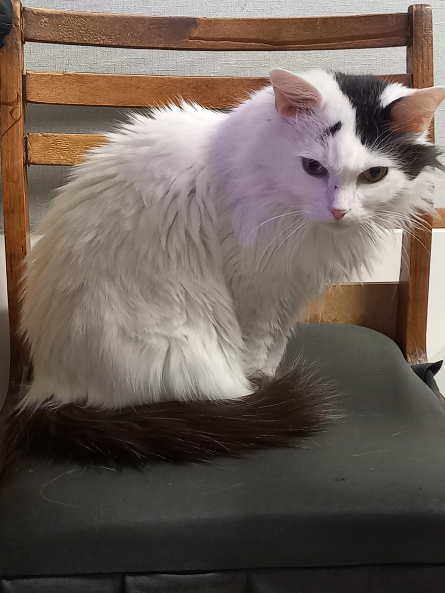 Задумалась....